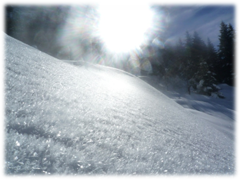 1236533532_970166994